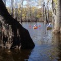Zoie Clift, left, of Hot Springs and Cowper Chaddourn of Conway take in the swamp sights.        