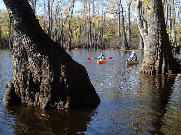 
                           Zoie Clift, left, of Hot Springs and Cowper Chaddourn of Conway take in the swamp sights.        