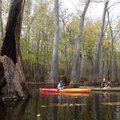 Zoie Clift, left, and Kirsten Bartlow explore the swamp.    