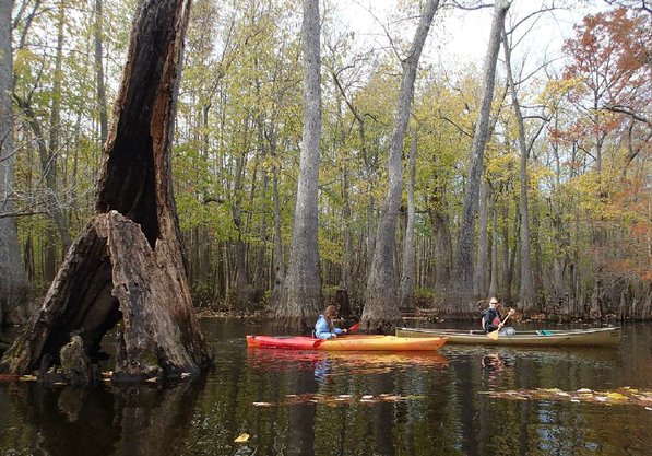 
                           Zoie Clift, left, and Kirsten Bartlow explore the swamp.    