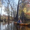 Kirsten Bartlow of Little Rock explores Bayou De View on a beautiful fall day. 