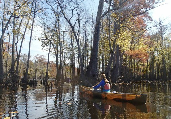 
                           Kirsten Bartlow of Little Rock explores Bayou De View on a beautiful fall day. 