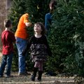 Raylen Gann, 3, (above) strolls through the Christmas trees while her brother, Caleb Gann, 7, left, ...