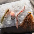 Effective flies for Roaring River fishing include, from left, woolly bugger, egg, San Juan worm, PJ'...