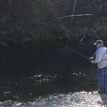Fisherman can often have an entire section of the trout stream to themselves during catch and releas...