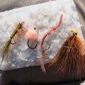 Effective patterns for Roaring River fly fishing include, from left, woolly bugger, egg, San Juan wo...