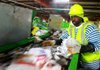 Larry Clark grabs plastic items Friday from a fast-moving conveyor belt at Waste Management’s recycling facility on Sloan Drive in Little Rock.


