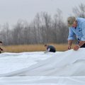Ed Dugan with AAA Tents for Events in Springdale works with crews to set up a 48-by-135-foot tent Sa...