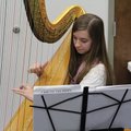 Emily Carpenter, a Central Junior High School student, performed Oct. 30 on harp at a school board l...