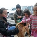 Robert Richardson, center, with Rogers Animal Services, holds a leash Friday as Carli Rudder, 10, le...