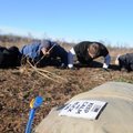 Members of the GoRuck Challenge class 362 (above) do push-ups together after completing 200 log pres...