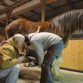John Werner, an instructor, watches Thursday as student Matt Hunnicutt of Berryville works on cleani...
