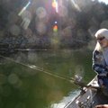 Roy Clark, a trout and walleye guide on the White River below Beaver Dam, checks his line while trol...