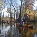 Kirsten Bartlow of Little Rock enjoys the beauty of the swamp on Bayou De View near Brinkley, Ark.  ...