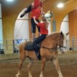vaulters nw daily