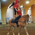 Top to bottom:  Malu Foley, Caroline Shubert, and Regina Yancey with the American Vaulting Associati...