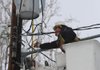 Brandon Wilson, an employee of North Little Rock Electric, reconnects power to homes near West 36th and Gum streets in North Little Rock on Thursday. 
