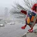 Traffic creeps Friday through the snow past the Penguin Ed’s statue at the corner of Mission and Cro...