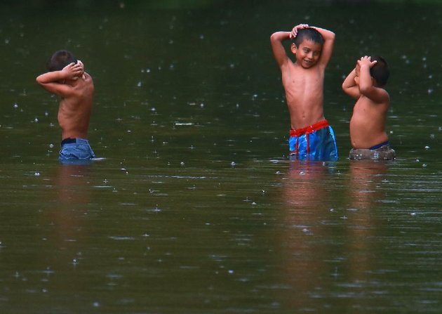Summer Shower