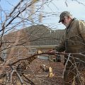 Mike Burton with Burton Lawn Services cuts off sections of branches Wednesday from a River Birch at ...