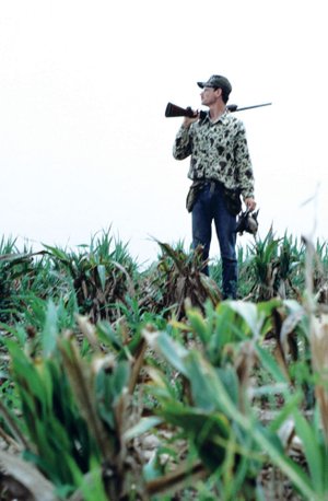 A solo hunt for doves can be highly successful if the hunter scouts before going afield.
