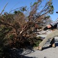 Bryce Napier, Youth Strategies program coordinator, pulls a juniper bush aside Friday after using a ...