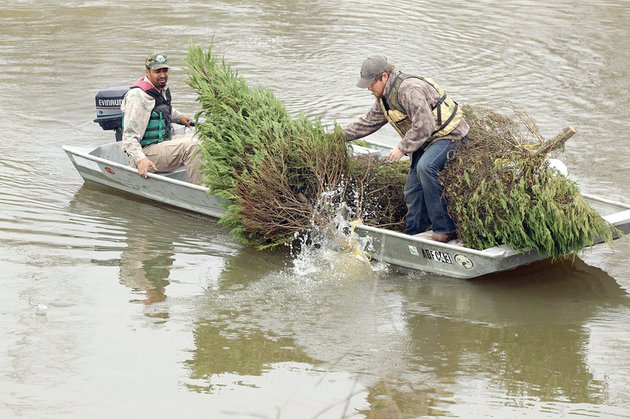 arkansas-game-and-fish-commission-employees-clifton-jackson-left-and-aaron-copeland-dispose-of-christmas-trees-near-fourche-creek-in-remmel-park-the-agfc-asks-arkansas-residents-to-donate-leftover-natural-christmas-trees-to-lakes-in-the-state-to-provide-habitat-for-fish