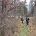 There's acres of nature to explore during a hike at Pea Ridge National Military Park.