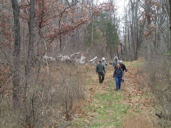There's acres of nature to explore during a hike at Pea Ridge National Military Park.