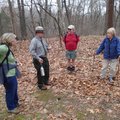 Patrick Poyner, second from left, offers historical facts about the Battle of Pea Ridge. 