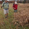 Bob Ross, left, and Dennis Heter examine native plant life during the hike.