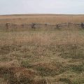Some open areas of the battlefield that hikers see resemble prairie more than the Ozarks.