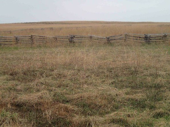Some open areas of the battlefield that hikers see resemble prairie more than the Ozarks.