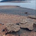 Beaver Lake, as seen on Wednesday, is low at the Arkansas 12 bridge but it has been several feet low...