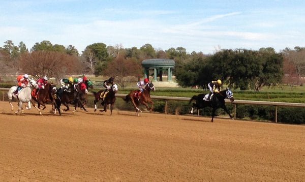 Oaklawn Park Opens For 2013 Season