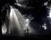 photo.caption|escapejs