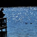 David Powell of Springdale casts his line into Lake Fayetteville Sunday afternoon. Powell was taking...