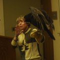 Sciumbato uses turkey vulture Igor to talk about turkey vultures and black vultures at her program.