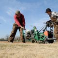 Kaleb Reynolds, left, and Kyle Anderson, both with the Springdale Parks department, use a sod cutter...
