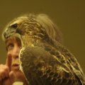 Lynn Sciumbato, a wildlife rehabilitator who lives near Gravette, gives a program on raptors and vul...