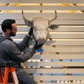 Michael Hurst, museum coordinator for 21c Museum Hotel in Cincinatti, installs a piece of art Thursd...