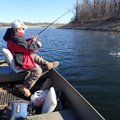 A largemouth bass bites Dec. 21 at warm-water Swepco Lake. Plastic worms are among Stroud’s favorite...