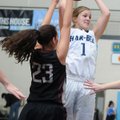 Samantha Weber of Springdale Har-Ber attempts to pass over Siloam Springs’ Krista Lopez on Friday in...