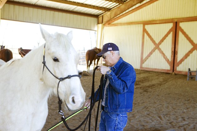 jim-langley-puts-his-quarter-horse-cross-traveler-through-his-paces-at-the-holtzman-riding-academy-there-langley-works-with-judy-holtzman-to-train-the-horse-holtzman-owns-the-academy-with-her-husband-ray