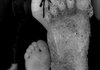 Fouke Mayor Terry Lee compares a plaster cast of a possible Bigfoot print with his foot last month. 