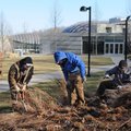 William Aguilar, from right, Fernando Silza, Josh Erickson and Brian Batchelor work Friday to cut bl...