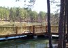 Little Rock’s Conner Park offers a tranquil oasis adjacent to busy Cantrell Road. 