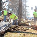 Transportation Division workers build a new sidewalk Tuesday on the east side of Willow Avenue betwe...