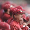 Arkansas coach Dave Van Horn directs his players Saturday, Feb. 16, 2013, during the third inning of...
