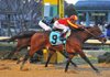 Rafael Bejarano and Bob Baffert-trained Secret Circle (9) edged Jake Mo to win one of the two divisions of the Southwest Stakes last year at Oaklawn Park in Hot Springs. Since 2010, Baffert’s horses have won the Southwest and Rebel Stakes three times and the Arkansas Derby once. 